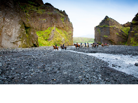 Riding with the Herd in Iceland 